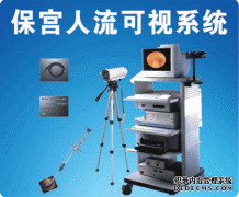 保宫人流可视系统